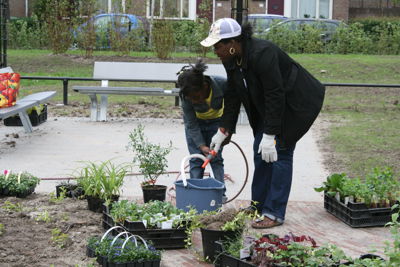 Foto 28 uit Tropische Buurttuin