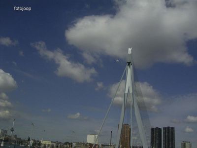 Foto 50 uit red bull air race r.dam