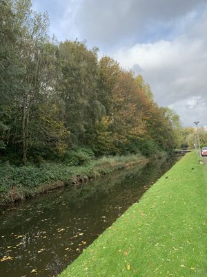 Foto 448 uit Rondje Beverwaard 2026