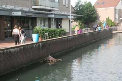 Foto 70 uit HippePlantenBakken