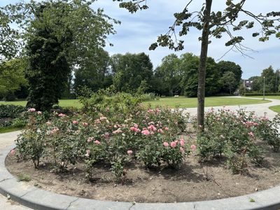 Foto 287 uit Rondje Beverwaard 2026