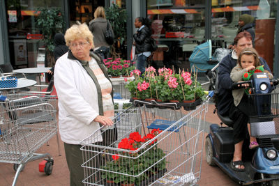 Foto 65 uit OpzoomerenPlantjes