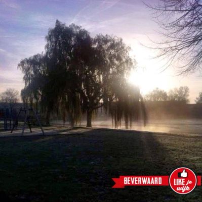 Foto 10 uit LIKEJEWIJK FOTO'S