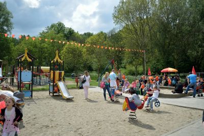 Foto 8 uit Koningsdag 26-04-14