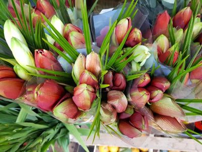 Foto 49 uit De Bloemenboetiek