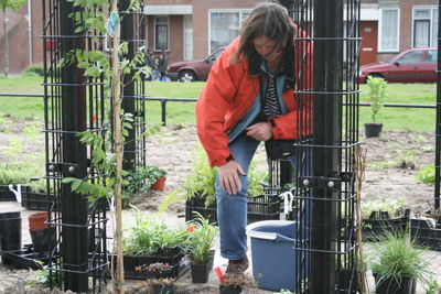 Foto 18 uit Tropische Buurttuin