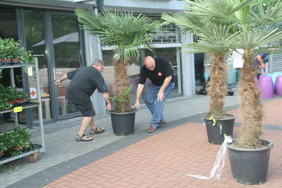 Foto 2 uit HippePlantenBakken