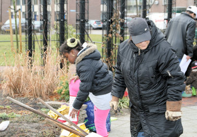 Foto 9 uit Tropische Tuin20-03