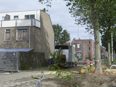 Foto 109 uit Noord_Zuid fase 2bw