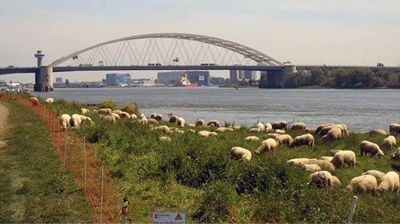 Foto 621 uit BRIENENOORDBRUG