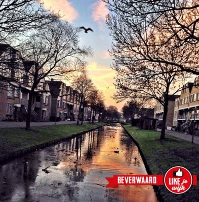 Foto 163 uit LIKEJEWIJK FOTO'S