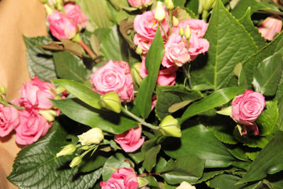 Foto 105 uit De Bloemenboetiek