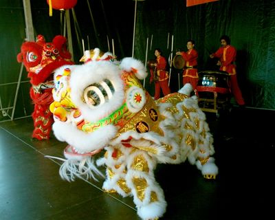 Foto 29 uit chineesnieuwjaar9_2