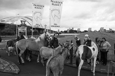 Foto 89 uit Paardenmarkt29-6