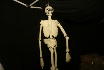 Foto 64 uit Halloween31oct 2015