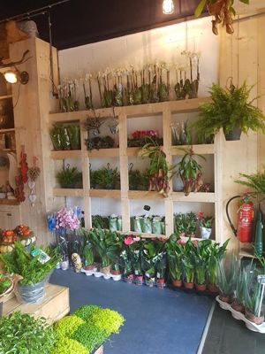 Foto 3 uit De Bloemenboetiek