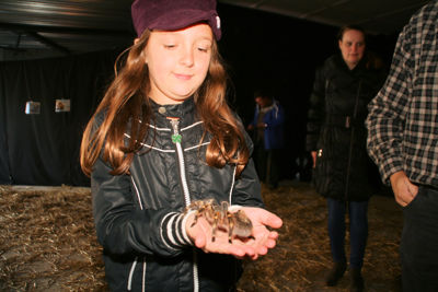 Foto 124 uit HalloWeen27-10-12