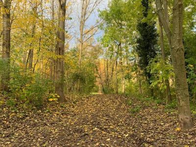 Foto 94 uit X-Herfst Verschillende jaren  2026