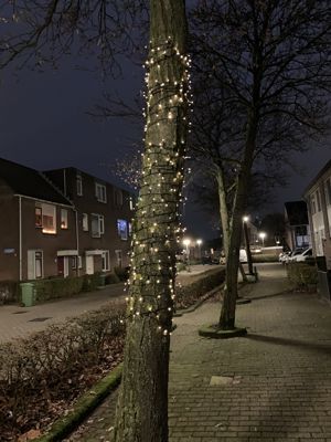 Foto 3 uit Kerst In Beverwaard