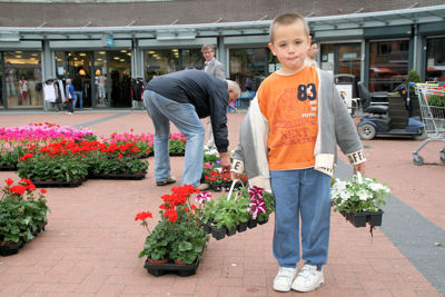 Foto 50 uit OpzoomerenPlantjes