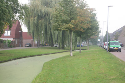 Foto 354 uit StratenBEVERWAARD