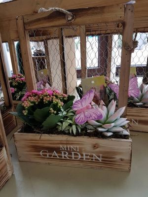 Foto 110 uit NeelyshaBloemen