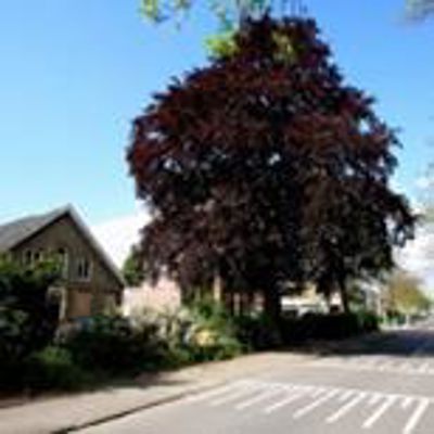 Foto 263 uit SloopEnOpbouwWIJK