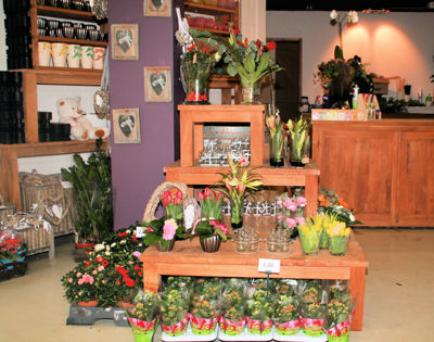 Foto 238 uit WINKELSBeverwaard