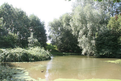 Foto 134 uit StratenBEVERWAARD