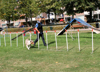 Foto 113 uit Wijkfeest12-09-2009