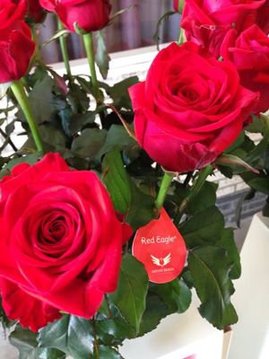 Foto 279 uit NeelyshaBloemen