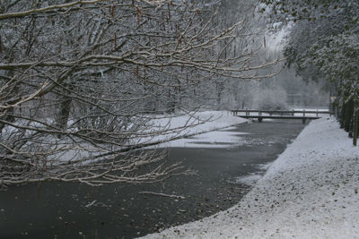 Foto 38 uit Kerst Beverwaard09