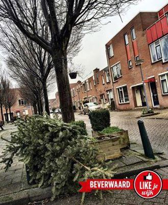 Foto 112 uit LIKEJEWIJK FOTO'S_3