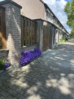 Foto 351 uit Rondje Beverwaard 2026