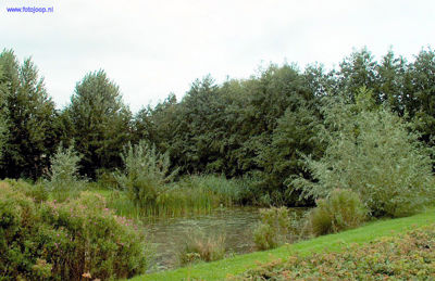 Foto 100 uit Foto's Beverwaard