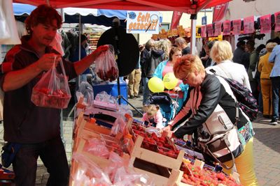 Foto 118 uit Paardenmarkt29-6