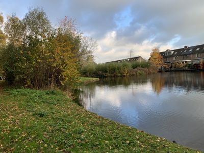 Foto 415 uit Rondje Beverwaard 2026