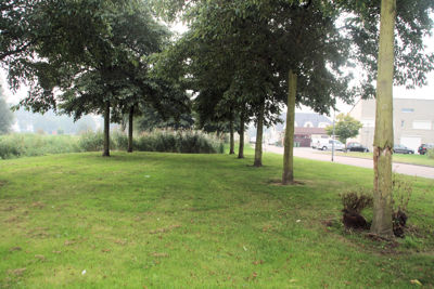 Foto 349 uit StratenBEVERWAARD