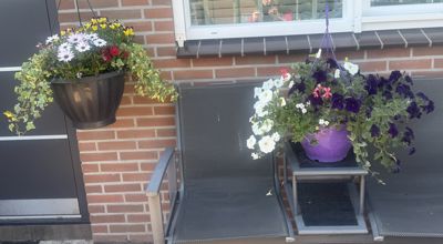 Foto 510 uit Rondje Beverwaard 2026