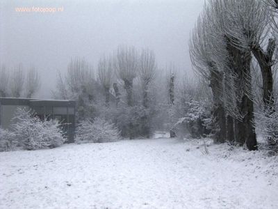 Foto 116 uit WinterIn Beverwaard