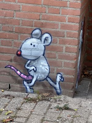 Foto 75 uit All Caps Muurschilderingen Beverwaard 2026