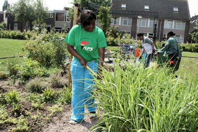 Foto 11 uit Tropische Tuin12_6