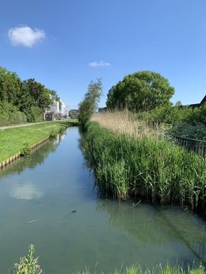 Foto 35 uit Rondje Beverwaard 2026