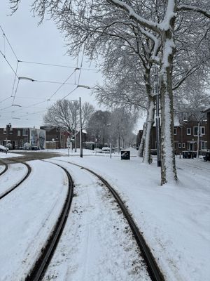 Foto 22 uit X- Sneeuw in de Beverwaard 2026