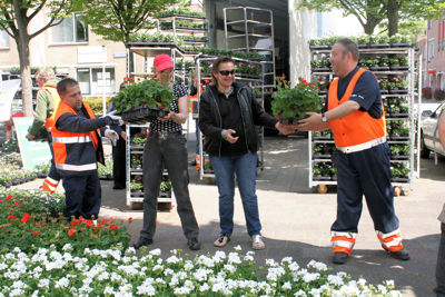 Foto 32 uit Opzoomeren20-05