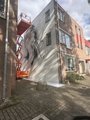 Foto 83 uit All Caps Muurschilderingen Beverwaard 2026