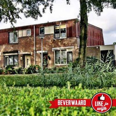 Foto 293 uit LIKEJEWIJK FOTO'S