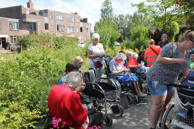 Foto 157 uit Ouderen4Daagse2019