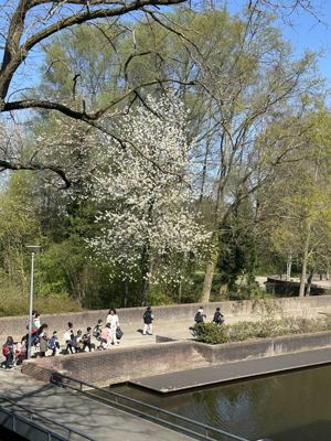 Foto 256 uit Rondje Beverwaard 2026