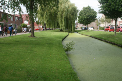 Foto 66 uit StratenBEVERWAARD